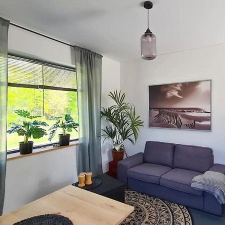Studio Tussen De Bossen En De Bollenvelden Noordwijkerhout Eksteriør bilde