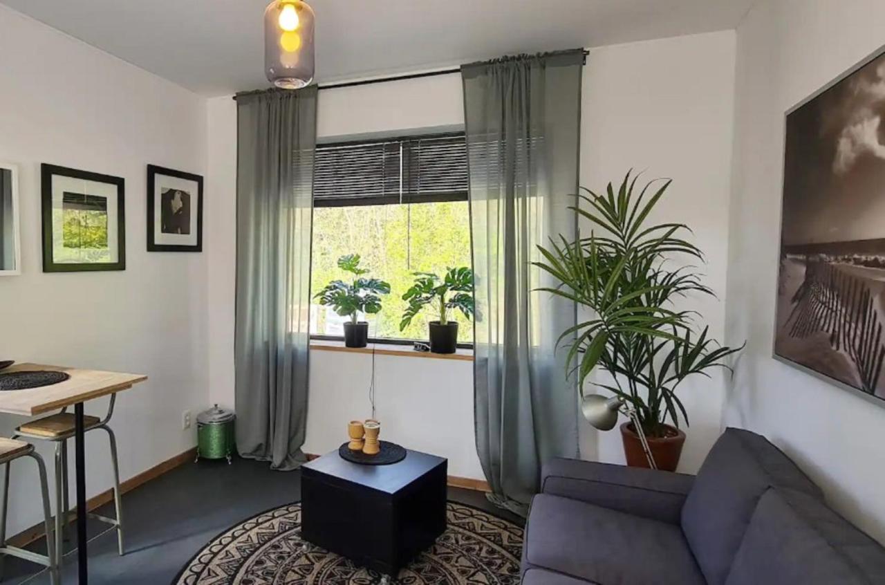Studio Tussen De Bossen En De Bollenvelden Noordwijkerhout Eksteriør bilde